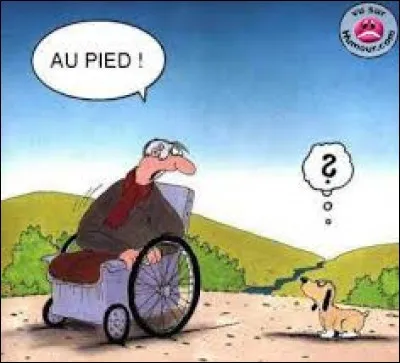 Qu'est-ce qu'une manifestation d'aveugles ?