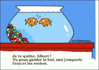 Quelle est la différence entre la grammaire et le divorce ?