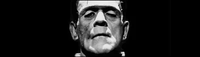 En 1974, deux films tournant autour du mythe de Frankenstein sont sortis.

Lequel des deux est "Frankenstein Junior" ?