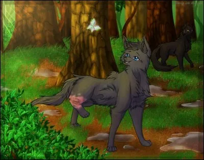 Comment Museau Cendré est-elle morte ?