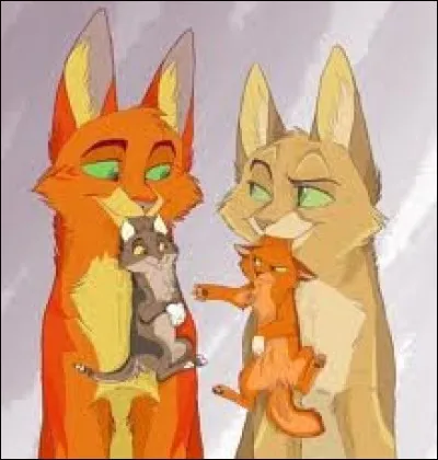 Quels noms ont les chatons de Tempête de Sable et Étoile de Feu ?