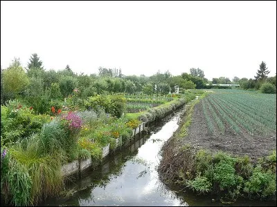 Voici l'un des terrains de jeu du métier que l'on recherche... De quel métier s'agit-il ?