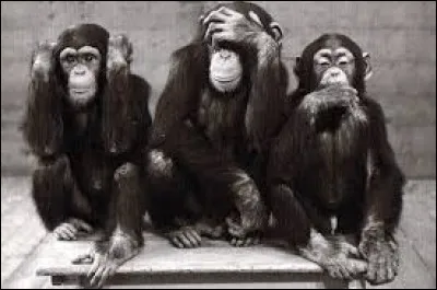 Qu'est-ce que trois hommes sur une branche ?