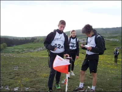 Si tu étais professeur de sport, organiserais-tu des courses d'orientation dans des forêts où il y a des ronces ?