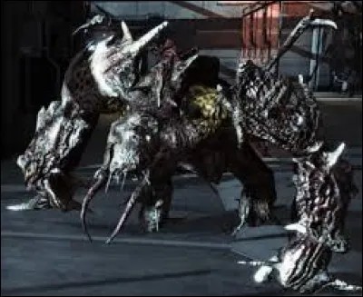 Comment s'appelle cet ennemi coriace ?