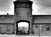 Au cœur des camps de concentration
