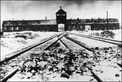 Comment a-t-on appelé cette fuite des nazis des camps avec tous leurs prisonniers, au cours de laquelle des centaines de prisonniers sont morts ?