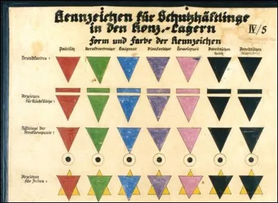 Quelle couleur désignait les homosexuels prisonniers des camps ?