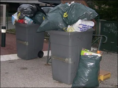Les poubelles tirent leur nom de celui qui les a inventées, Eugène Poubelle.