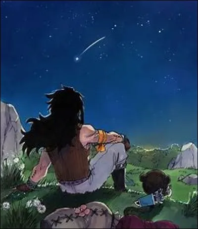 Quel est ton plus grand défaut ?