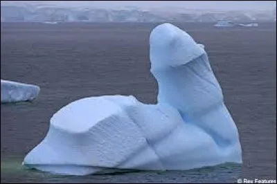 Un iceberg vient d'être papa. Comment l'annonce-t-il à ses amis ?