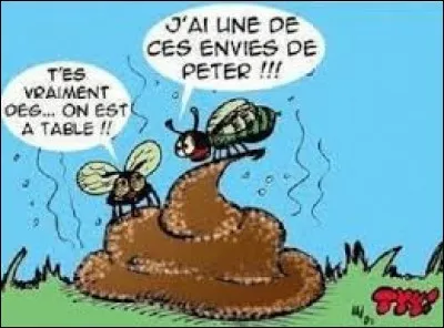 Qu'est-ce qui fait "zzzb, zzzb,..." ?