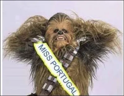 C'est l'histoire d'un poil. Avant il était bien, et maintenant, il est