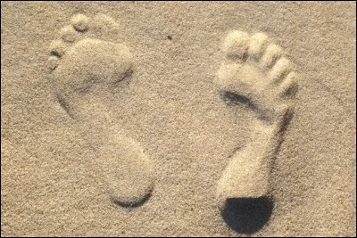 Certaines familles, certaines stars, certains patrons, certains hommes et femmes politiques vivent sur « un grand pied », c'est à dire de façon luxueuse, en menant grand train. Quelle est l'origine de l'expression ?