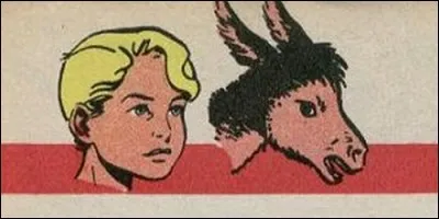 Qui est l'âne dans "Pom et Teddy" ?