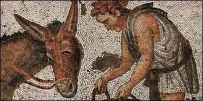 Dans le roman "Les Métamorphoses" d'Apulée, comment se prénomme cet aristocrate transformé en âne ?