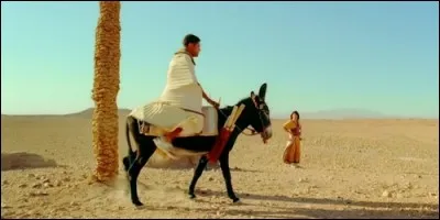 Dans quel film peut-on apercevoir cet âne, du nom de Cannabis, chevauché par Jamel Debbouze ?