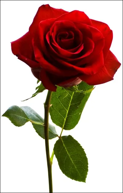 "Les Fleurs du mal" est le titre d'un recueil de po&egrave;mes de :