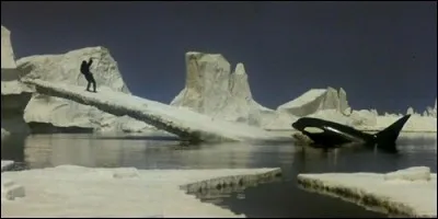 Dans le film "Orca", l'épaulard est :
