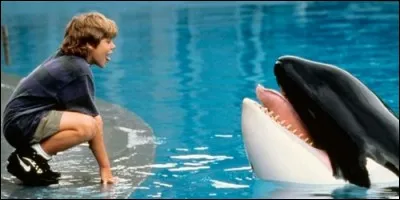 Comment se prénomme le garçon qui décide de sauver une orque dans "Sauvez Willy" ?