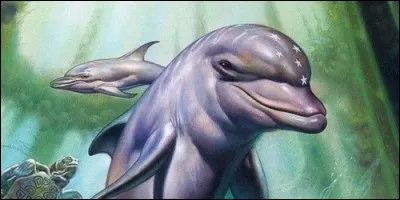 Quel est le nom de ce dauphin, issu d'un jeu vidéo ?