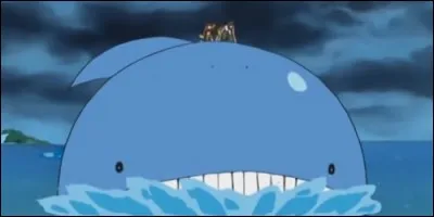 Dans "Pokemon", qui est l'entraineur de Wailord ?