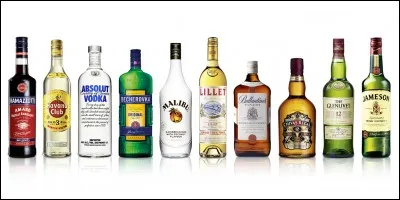 Il a écrit "Alcools".