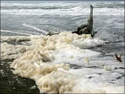 À qui doit-on le roman "L'Écume des jours" ?