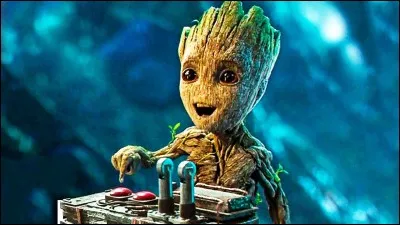 Quand les gardiens de la galaxie ont compris que Ego est méchant, qui va dans le noyau d'Ego avec une bombe ?
