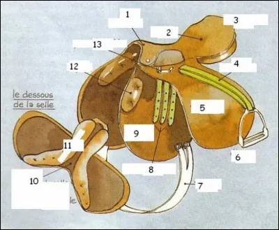 Comment s'appelle la partie numéro 11 ?