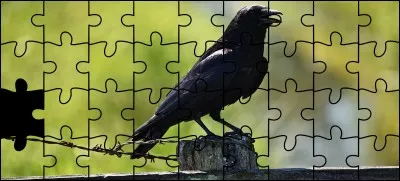 Quelle est la bonne pièce ?