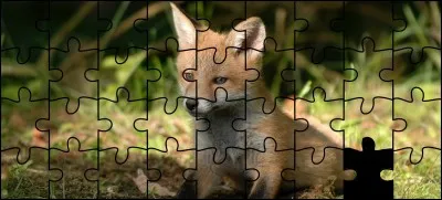 Quelle est la bonne pièce ?