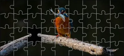 Quelle est la bonne pièce ?