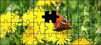 Quelle est la bonne pièce ?