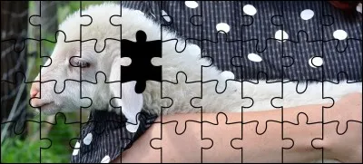 Quelle est la bonne pièce ?