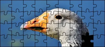 Quelle est la bonne pièce ?