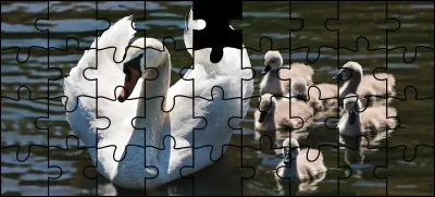 Quelle est la bonne pièce ?