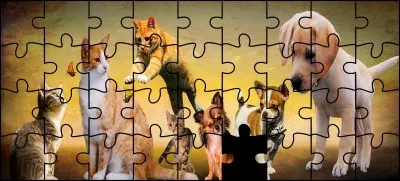 Quelle est la bonne pièce ?