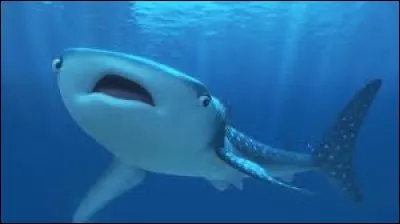 Quelle sorte de requin est Destinée, l'amiE de Dory dans "Le monde de Dory" ?