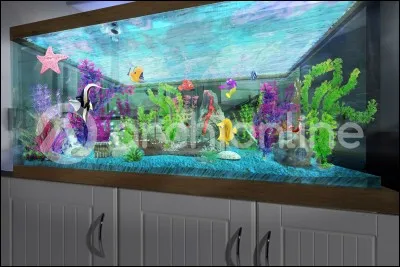 Quel objet ne peut-on pas trouver dans l'aquarium du dentiste du "Monde de Nemo" ?