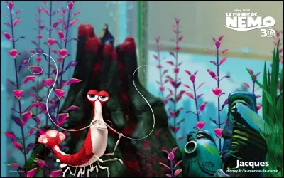 Quel footballeur double en français la voix de Jacques, la crevette marine nettoyeuse du "Monde de Nemo" ?