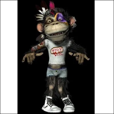 A quel groupe "appartient" ce singe ?