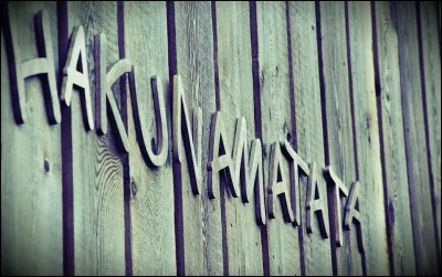 Dans 'Le Roi lion' on peut entendre cette phrase, 'Hakuna matata'. Que signifie-t-elle ?