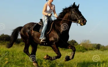 Quiz Galop 1