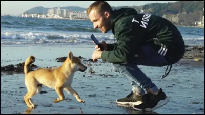 Combien d'animaux a-t-il ?