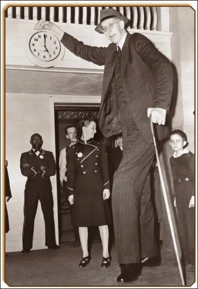 Robert Wadlow mesurait 1,98 m à 10 ans, 2,18 cm à 13 ans, 2,53 m à 18 ans. Combien mesurait-il à 21 ans ?