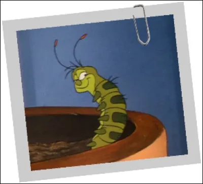 Dans quel Disney peut-on apercevoir cette chenille ?