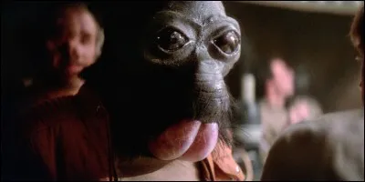 Quel est le nom de cette espèce ?