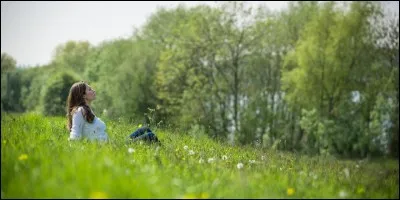 Réponse : Caraphractus cinctus.