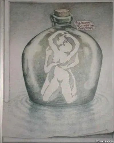 Combien y a-t-il de dauphins dans cette image ?